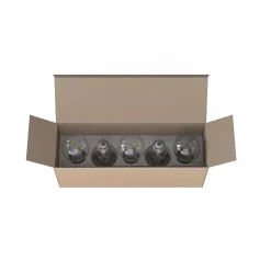 Żarówka BULB LED E27, A60 2W, 5 PC SET (7487) - Nowodvorski