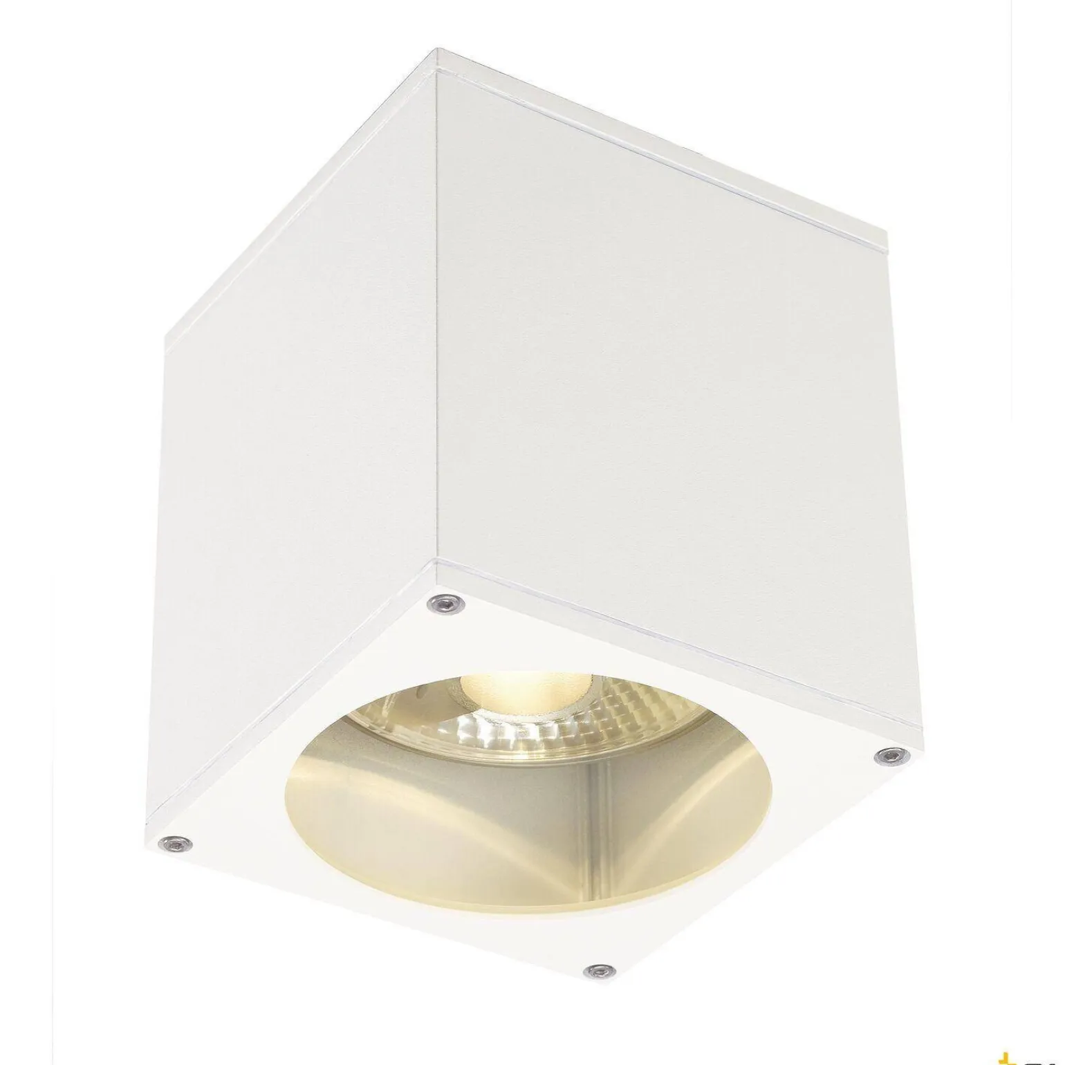 BIG THEO, lampa sufitowa outdoor, QPAR111 IP44, kwadratowa, biała, maks. 75W (229551) - SLV