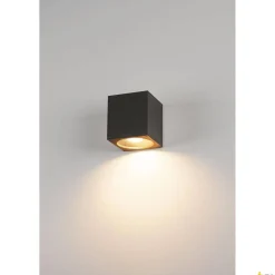 BIG THEO WALL, lampa ścienna outdoor, QPAR111, IP44, kwadratowa, antracytowa, maks. 75W (229565) - SLV