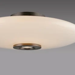 Ściemnialna lampa na sufit PURE VITRUM CIEMNOMETALOWO-BRĄZOWY (6083-34) - Paul Neuhaus