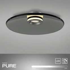 Ściemnialna lampa sufitowa PURE MOON SZARA (6095-15) - Paul Neuhaus