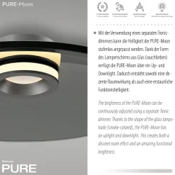 Ściemnialna lampa sufitowa PURE MOON SZARA (6095-15) - Paul Neuhaus