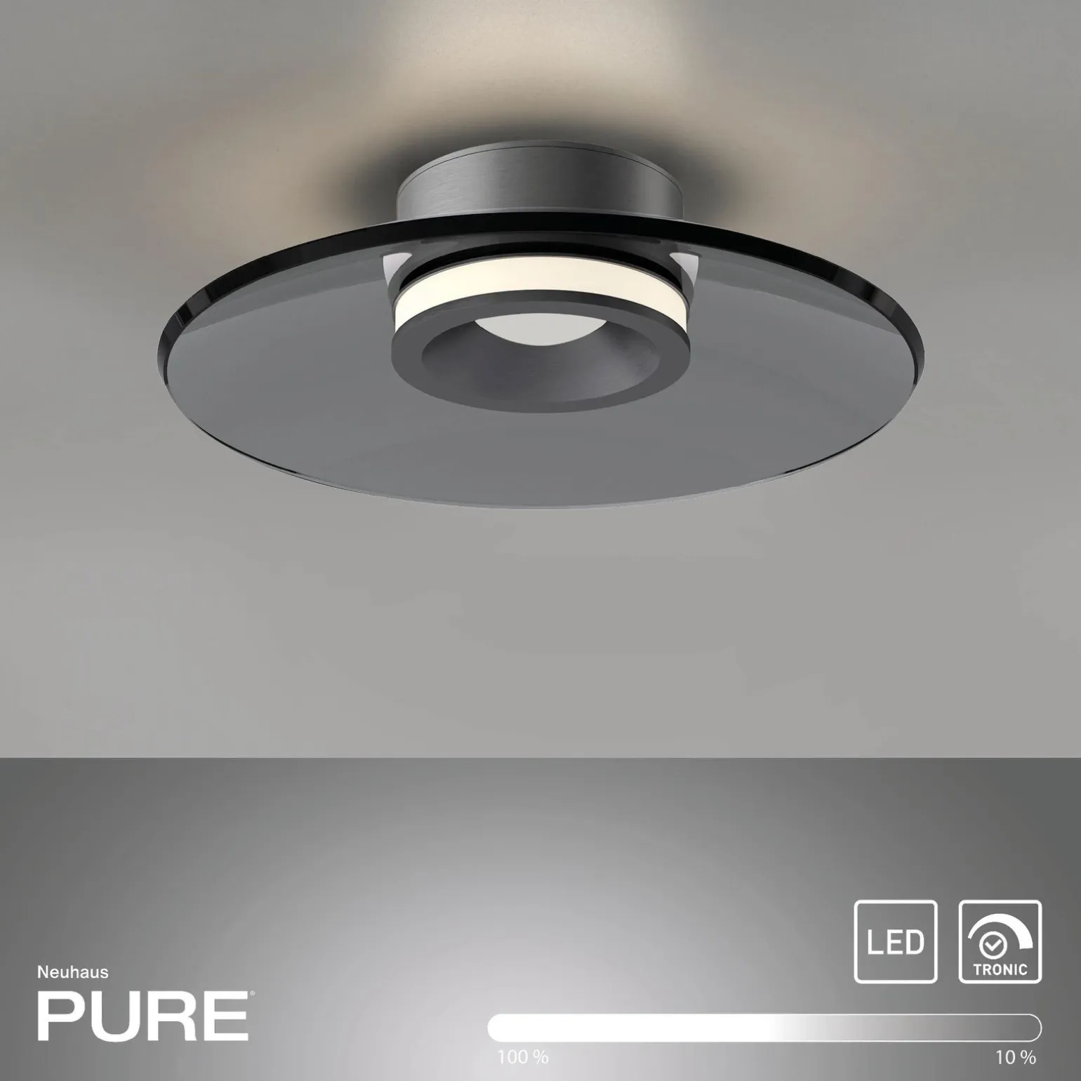 Ściemnialna lampa sufitowa PURE MOON SZARA (6094-15) - Paul Neuhaus