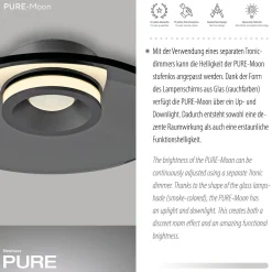 Ściemnialna lampa sufitowa PURE MOON SZARA (6094-15) - Paul Neuhaus