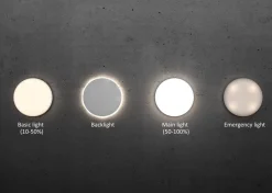 Ściemnialny plafon z czujnikiem LED RS PRO R20Q BASIC SC NW (ST067830) - STEINEL