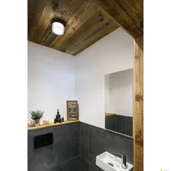 CYFT, oprawa ścienna i sufitowa natynkowa (1007608) - SLV