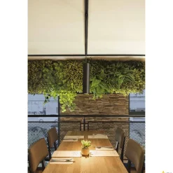 ENOLA_B, lampa wisząca do szyny wysokonapięciowej 1-fazowej, QPAR51, kolor czarny, maks. 50W, z adapterem 1-fazowym czarnym (143960) - SLV