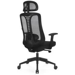 Ergonomiczny fotel z regulacją Ergo Essential (LV0653) - LVN SYSTEM