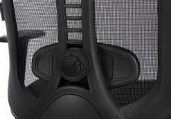 Ergonomiczny fotel z regulacją Ergo Essential (LV0653) - LVN SYSTEM