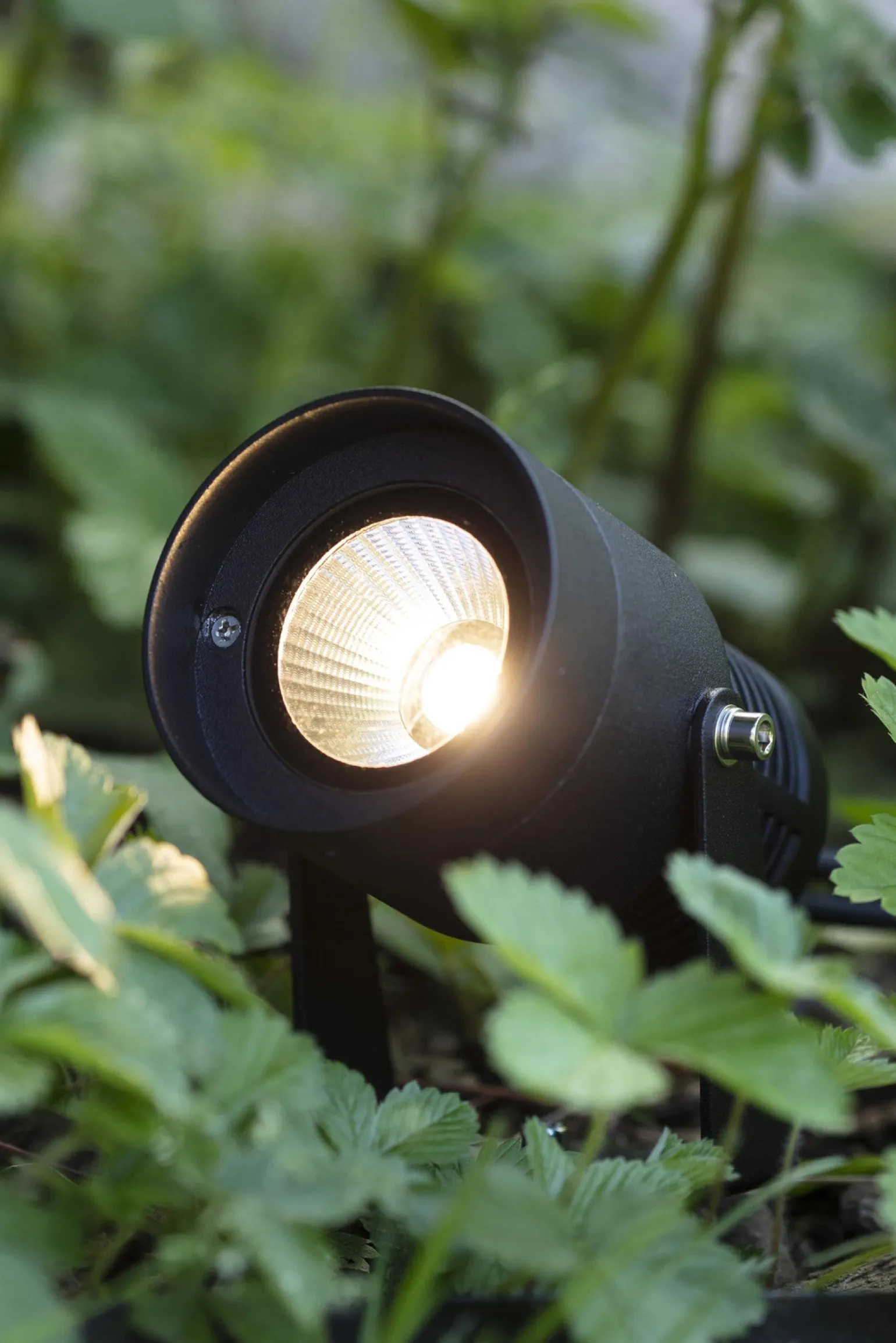 GARDEN 24 Spot 6W Czarny