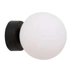 Kinkiet ALI (5647) - Zuma Line