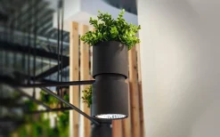 Kinkiet KUKKIA czarna (TH.005CZ) - Thoro Lighting