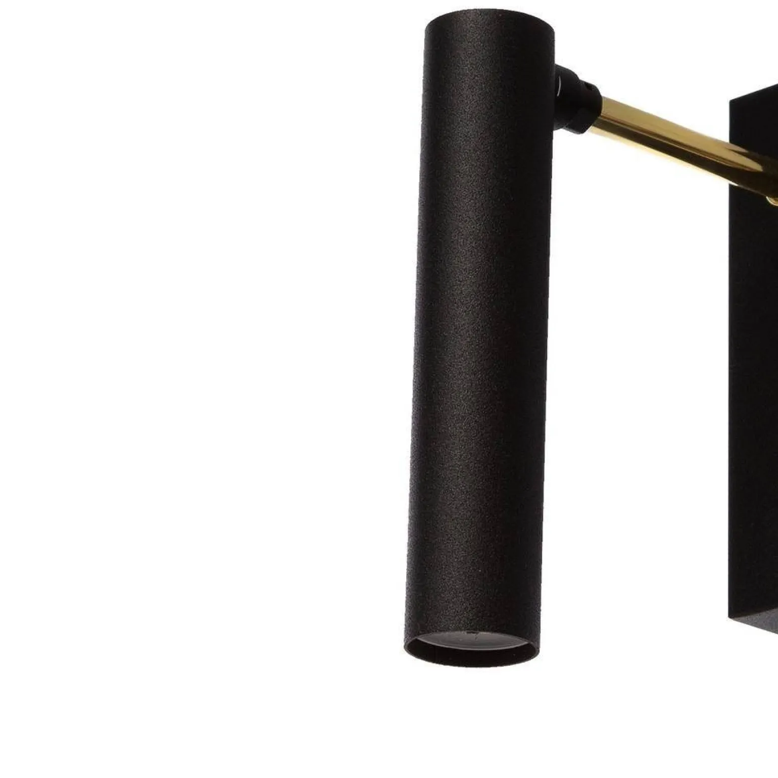 Kinkiet LARS (50717105) - Kaspa