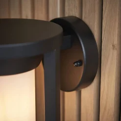 Kinkiet zewnętrzny Braden (96916) Endon