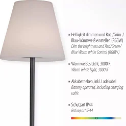 LAMPA PODŁOGOWA HOLLY (19826-18) - Paul Neuhaus