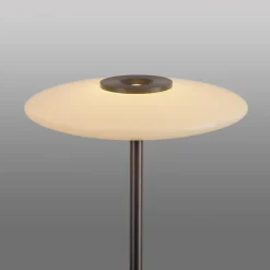 Lampa podłogowa z dotykowym ściemniaczem PURE VITRUM CIEMNOMETALOWO-BRĄZOWY (481-34) - Paul Neuhaus