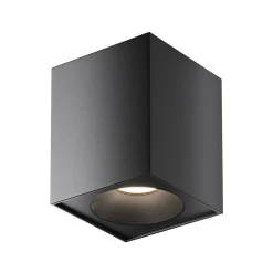 Lampa sufitowa (C030CL-01B) - Maytoni