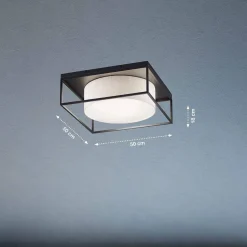 Lampa Sufitowa Carre (21327) - Fischer&Honsel