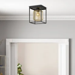 Lampa Sufitowa Caydo (21294) - Fischer&Honsel