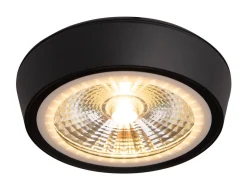 Lampa sufitowa CHARON IP65 (C0208) - Maxlight