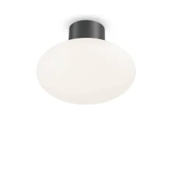 Lampa Sufitowa CLIO Antracyt (CLIO_MPL1_ANTRACITE) - Ideal Lux