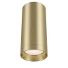 Lampa sufitowa Focus (C010CL-01MG) - Maytoni