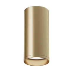 Lampa sufitowa Focus (C010CL-01MG) - Maytoni