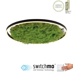 LAMPA SUFITOWA GREEN RITUS (15392-66) - Paul Neuhaus