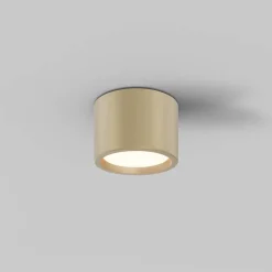 Lampa sufitowa Hydra (C090CL-10W3K-MG) - Maytoni