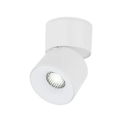 Lampa sufitowa kierunkowa SPARK WHITE CCT 10W (18168) - TK Lighting