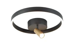 Lampa sufitowa lub naścienna PIGNANO (9206-0110) - Aviano Lighting