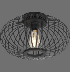 Lampa sufitowa RACOON CZARNA (11410-18) - Paul Neuhaus