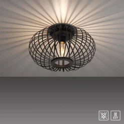 Lampa sufitowa RACOON CZARNA (11410-18) - Paul Neuhaus