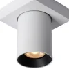 Lampa sufitowa reflektorek NIGEL (09929/05/31) - Lucide