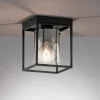 Lampa Sufitowa Samu (21303) - Fischer&Honsel