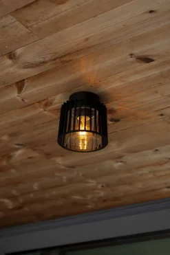 Lampa sufitowa SHYNE (6397501012) - Lutec