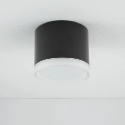 Lampa sufitowa SILBA (10477) - Nowodvorski