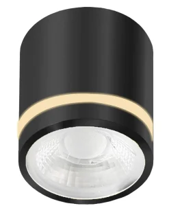 Lampa sufitowa spot VICI IP44 12W CCT SWITCH Czarny (AZ6039) - Azzardo