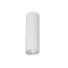Lampa sufitowa TUNE WHITE M (10025) - TK Lighting