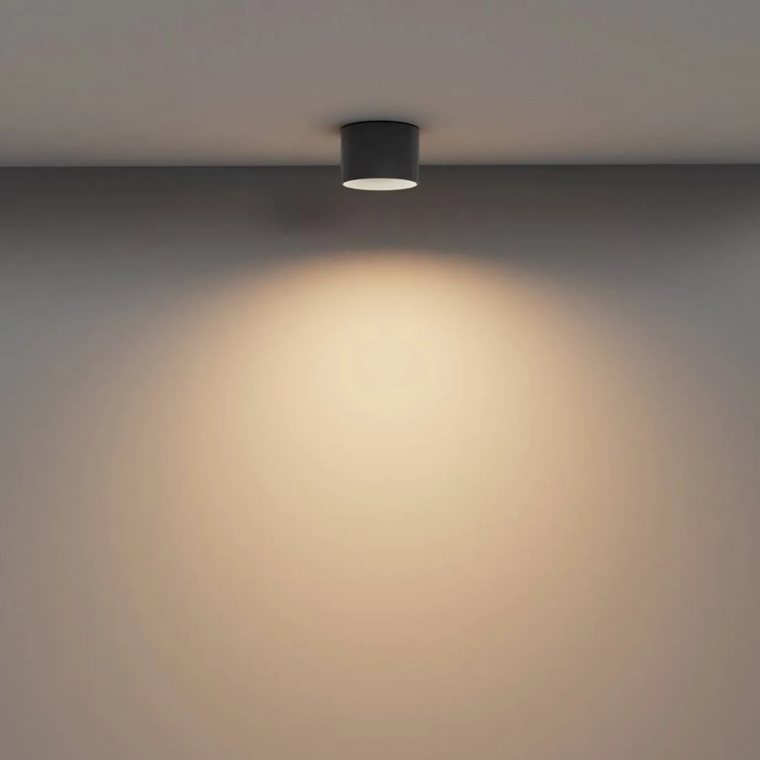 Lampa sufitowa Vega (C089CL-8W3K-B) - Maytoni