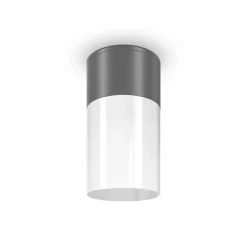 Lampa sufitowa Willis (O418CL-01GR) - Maytoni