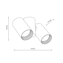 Lampa sufitowa z reflektorami AMIS WHITE DOWNLIGHT 2XGU10 (10975) - TK Lighting
