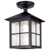 Lampa sufitowa zewnętrzna Winchester (BL18A-BLACK) - Elstead Lighting