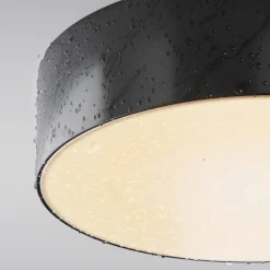 Lampa sufitowa Zon IP 65 (O431CL-L30B3K) - Maytoni