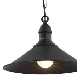 lampa wisząca 1 pł. ERBA czarny 1 x E27/60W ARGON 631 - żyrandol