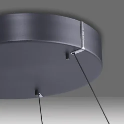 Lampa wisząca z płynną regulacją na pilota PURE E-LOOP SZARY (2550-15) - Paul Neuhaus