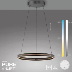 Lampa wisząca z płynną regulacją na pilota PURE E-LOOP CZARNY (2551-18) - Paul Neuhaus
