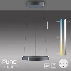 Lampa wisząca z płynną regulacją wysokości PURE E-CLIPSE SZARY (2560-15) - Paul Neuhaus