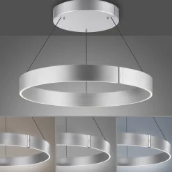 Lampa wisząca z płynną regulacją wysokości PURE E-CLIPSE ALUMINIUM (2561-95) - Paul Neuhaus
