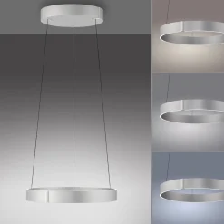 Lampa wisząca z płynną regulacją wysokości PURE E-CLIPSE ALUMINIUM (2560-95) - Paul Neuhaus